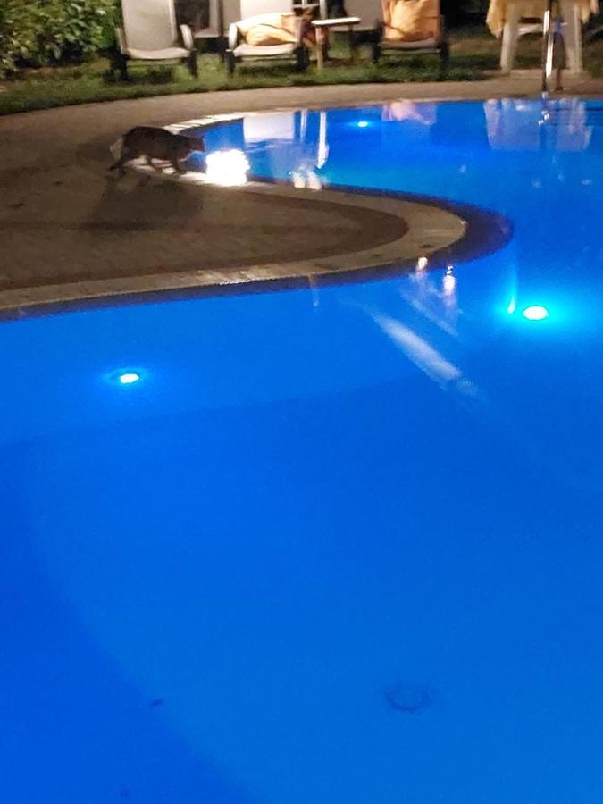 Alba Residence Sirmione Zewnętrze zdjęcie